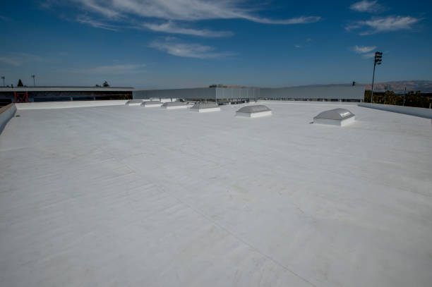 Best Gutter Installation and Repair  in Rising Sun, MD