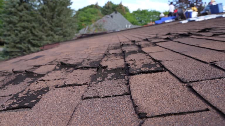 Best Sheet Metal Roofing  in Rising Sun, MD